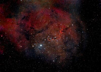 Elefantenrüsselnebel